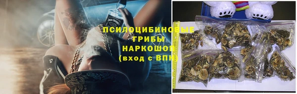 ECSTASY Кукмор