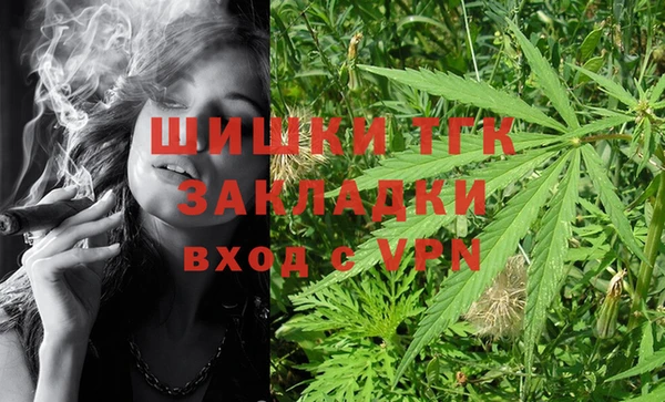 сатива Абинск
