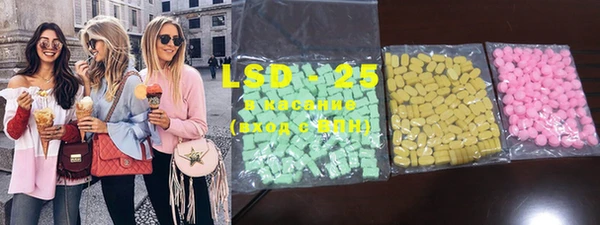 ECSTASY Кукмор