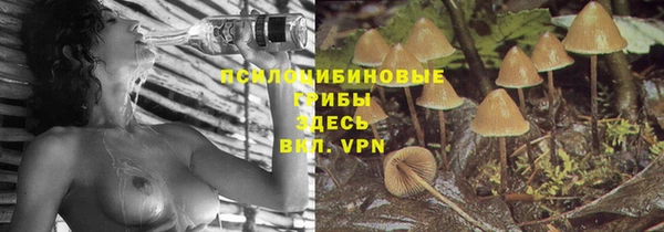 ECSTASY Кукмор