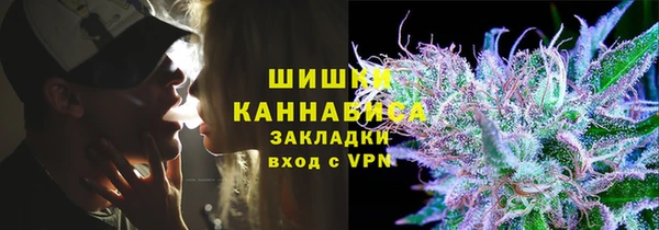 шишки Балахна