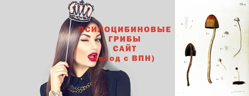 маркетплейс состав  Елец  Галлюциногенные грибы ЛСД  купить закладку 