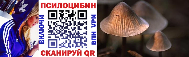 Галлюциногенные грибы GOLDEN TEACHER  shop официальный сайт  Елец 