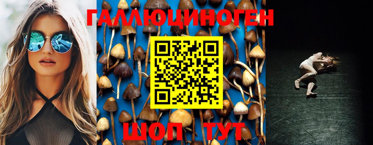 Псилоцибиновые грибы ЛСД Елец