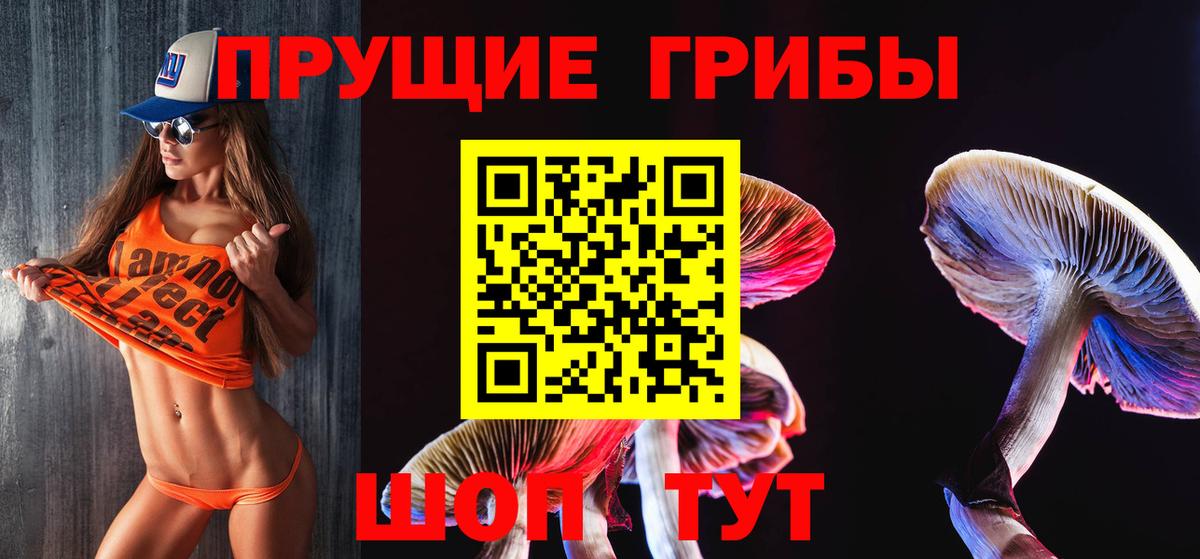 Псилоцибиновые грибы MAGIC MUSHROOMS  где купить   Елец 