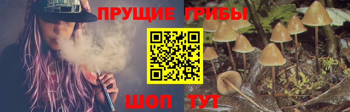 Елец  Галлюциногенные грибы Psilocybine cubensis  Псилоцибиновые грибы мицелий  Вход с VPN 